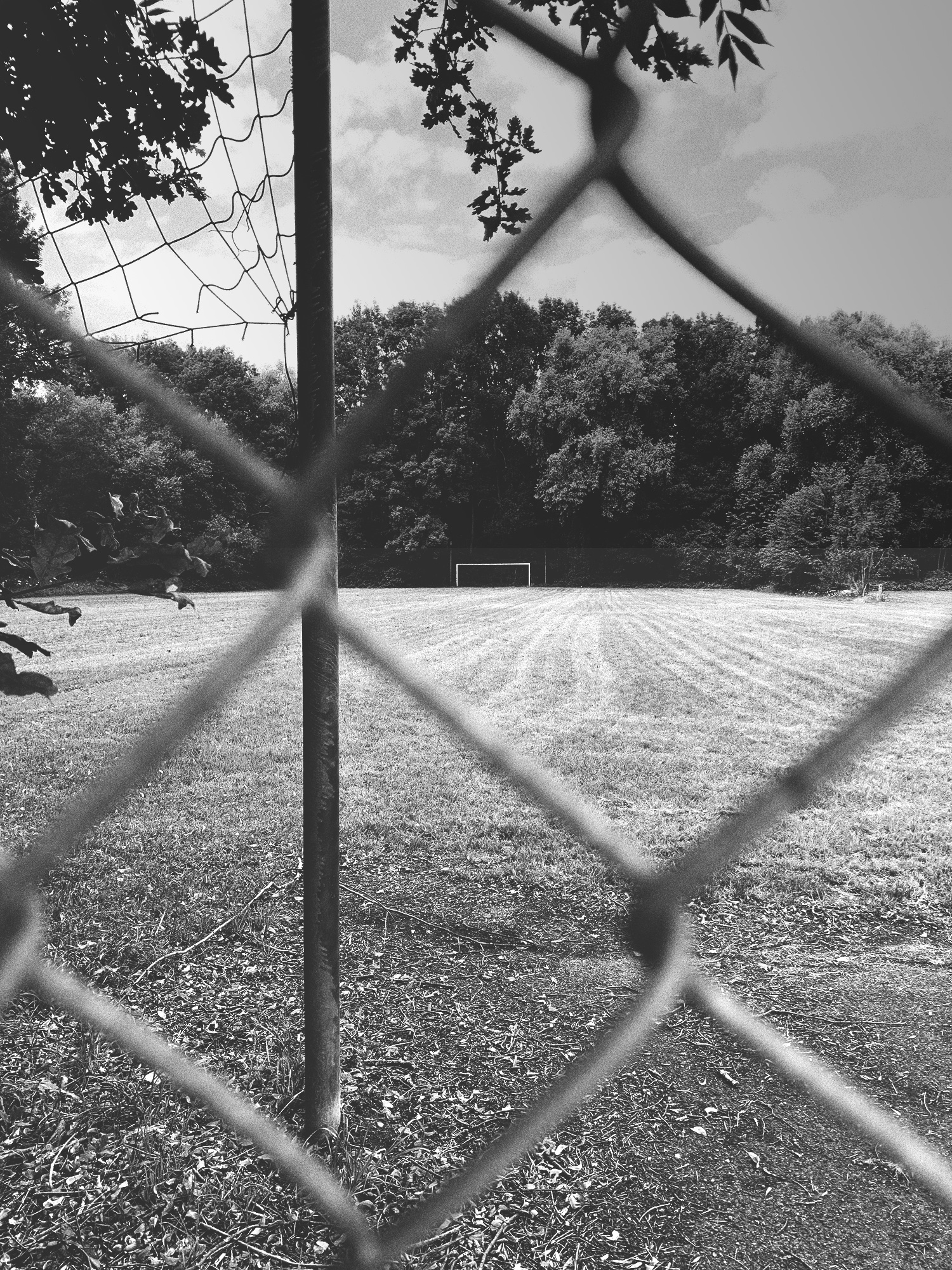 Sportplatz Saarhofweg